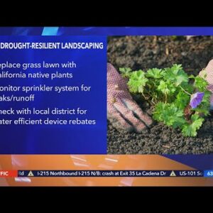 How to maintain your lawn during historic drought conditions
