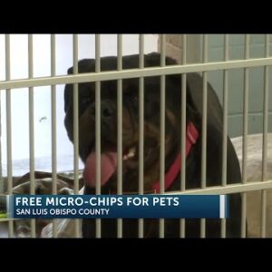Woods Humane Society announces free microchip clinics for “National Chip Your Pet Month”