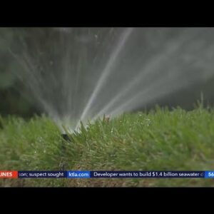 New water restrictions for Los Angeles Department of Water and Power customers announced