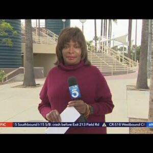 KTLA's Gayle Anderson opens up about alopecia