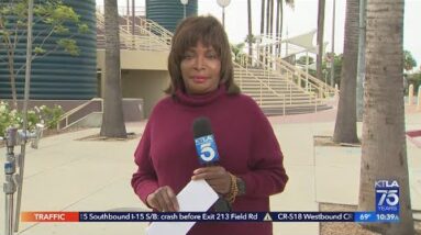 KTLA's Gayle Anderson opens up about alopecia