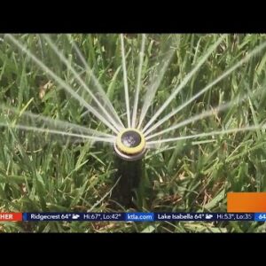 LADWP announces 2-day a week watering restriction