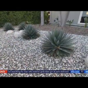 LADWP announces 2-days a week watering restriction