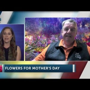 Local florist prepares for Mother’s Day boost in business