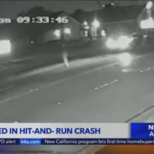 Police looking for driver in deadly Buena Park hit-and-run