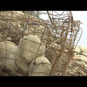 Santa Barbara Channelkeeper hosting lobster trap removal in Goleta on Saturday
