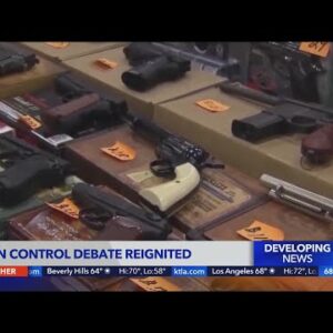 Recent mass shootings reignite gun control debate