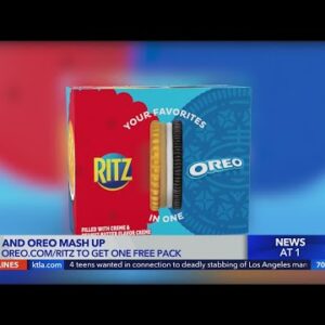 Would you try it? Find out how to get a free pack of the new Ritz and Oreo mash up