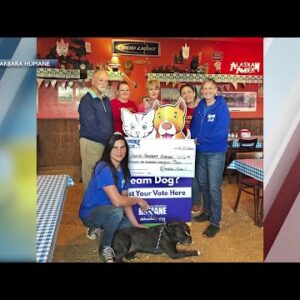 Santa Maria pizza shop raised over $5,000 for Santa Barbara Humane