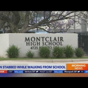 Teen stabbed while walking from school
