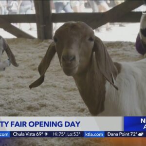 The L.A. County Fair is back!