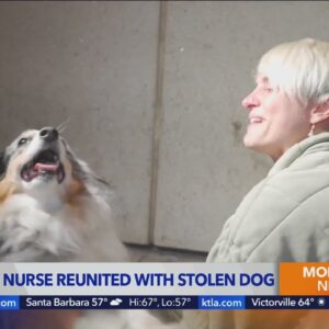 Traveling nurse reunited with stolen dog