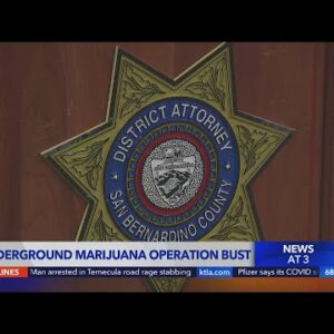 Underground marijuana operation bust