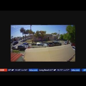 Video shows signature gatherer attacked in Lynwood