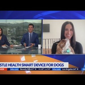 Whistle Health smart device tracks real time data on dogs