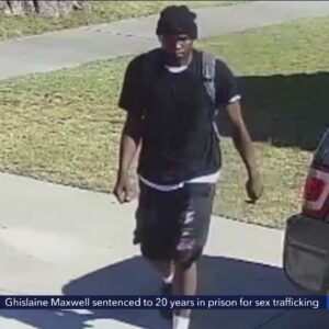 Police searching for man who threw woman into bushes and sexually assaulted her