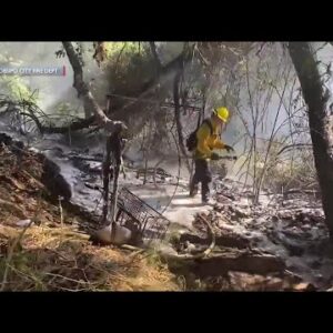 Man arrested for five arson felonies in relation to small vegetation fire in San Luis Obispo ...