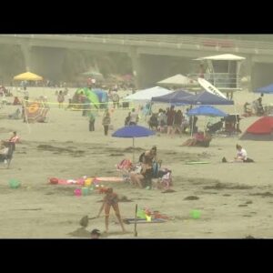 Avila Beach was a popular location for visitors escaping the heat