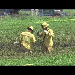 Small plane possibly hit building before crashing into strawberry fields near Camarillo ...