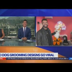 Dog groomer Gabriel Feitosa's wild styles go viral