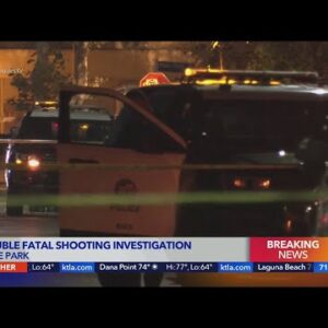 Double fatal shooting in Hyde Park is under investigation