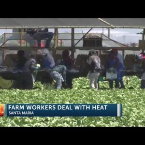 Farmworkers prepare for heat while working outdoors