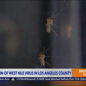 First Detection of West Nile Virus in Los Angeles County