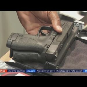 Gun permit information leaks through state dashboard