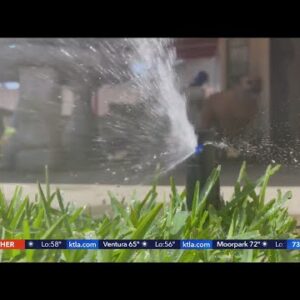 KTLA's Shelby Nelson looks at ways to save water