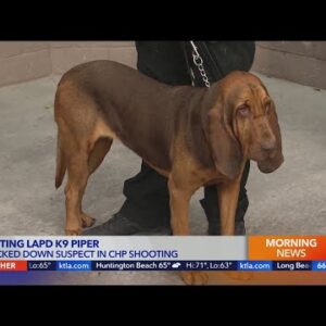 LAPD K-9 helped track down suspect in CHP shooting