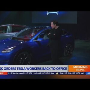 Musk orders Tesla workers back to office