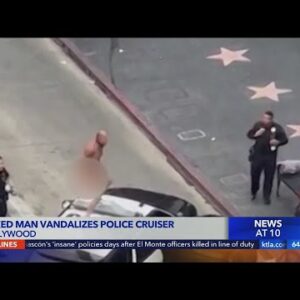 Naked man damages LAPD car in Hollywood