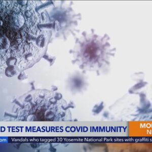 New blood test measures COVID immunity