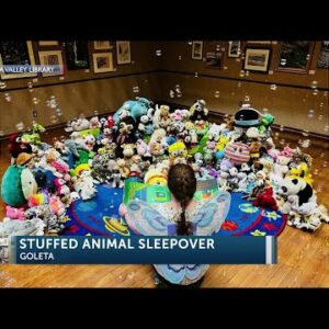 Over 200 stuffed animals slept over at Goleta Valley Library