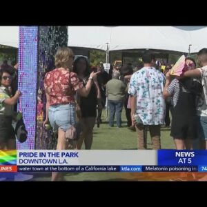 People brave the heat for LA Pride in the Park