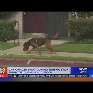 Police dog credited for tracking down gunman who shot CHP officer