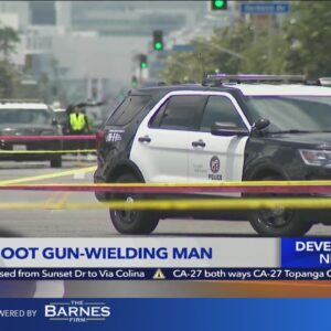 Police shoot, wound armed man