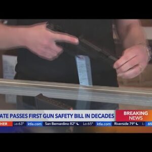 Senate passes bipartisan gun legislation