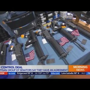 Senators announce bipartisan agreement on gun proposals