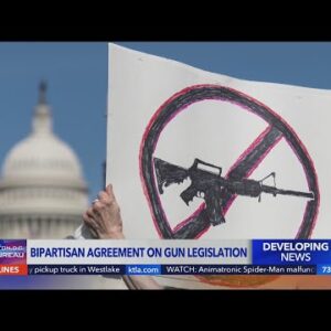 Senators announce bipartisan agreement on gun proposals