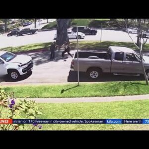 Torrance road rage leads to fistfight