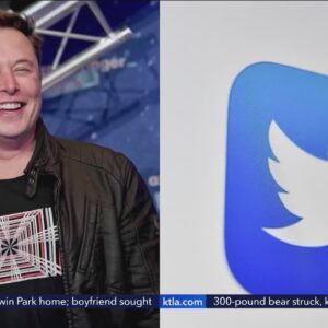 Twitter now trying to force Elon Musk to buy them for $44B