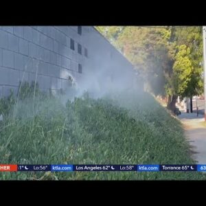Watering limits begin on Wednesday