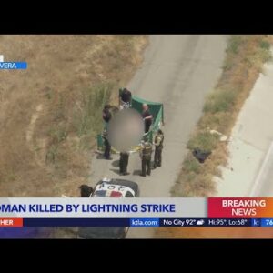 Woman, 2 dogs killed by lightning in Pico Rivera