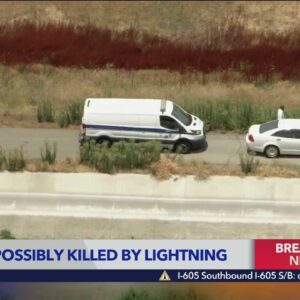 Woman, dogs possibly killed by lightning
