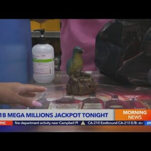 Lotto hopefuls gather at Bluebird Liquor in Hawthorne for $1.1 billion Mega Millions jackpot