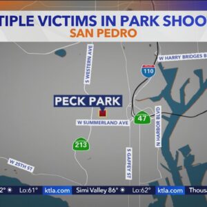 Witness describe frightening moments when gunshots rang out at a car show in San Pedro