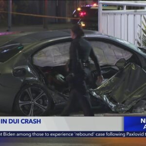 1 dead after DUI crash in Hollywood: LAPD