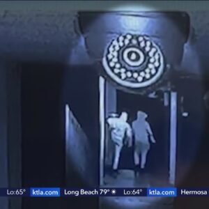 2 Asian-owned restaurants in Highland targeted by burglars