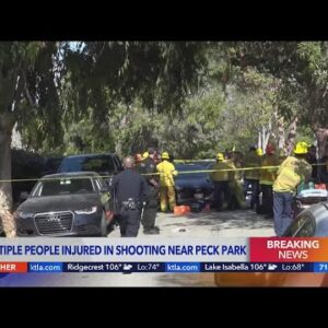 7 wounded in shooting near Peck Park
